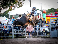Pinellas Park Rodeo 2014