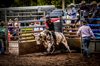 Bull Rider 4